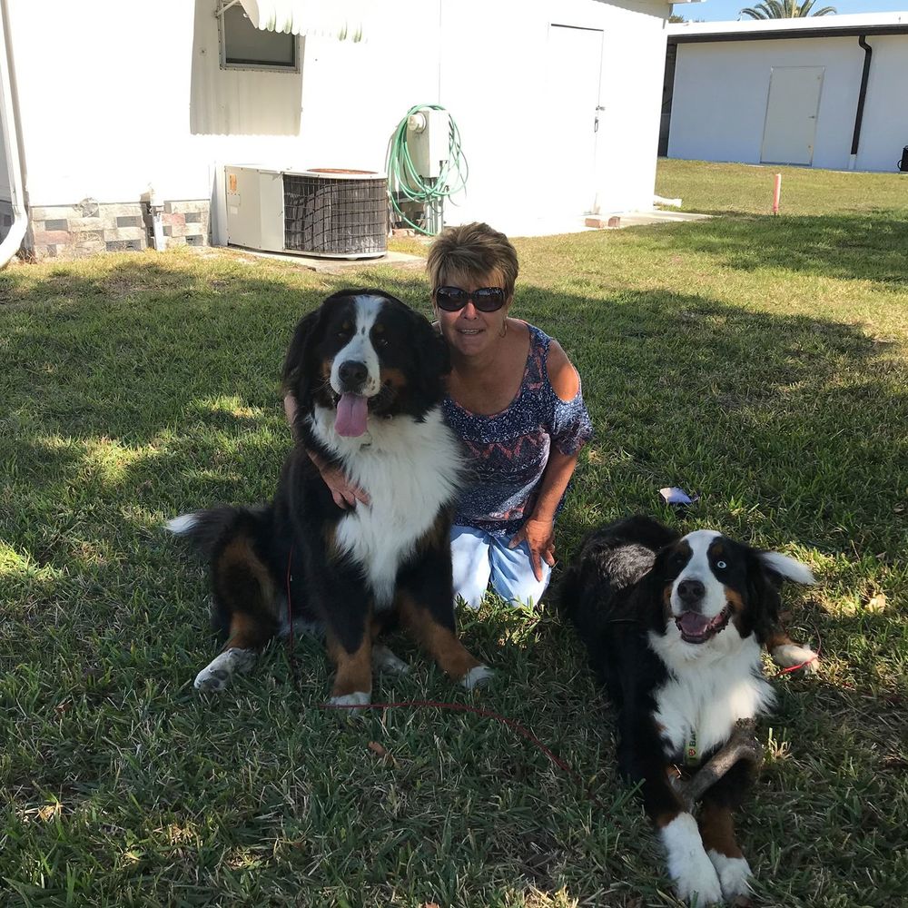 Meet your Posher, Pamela